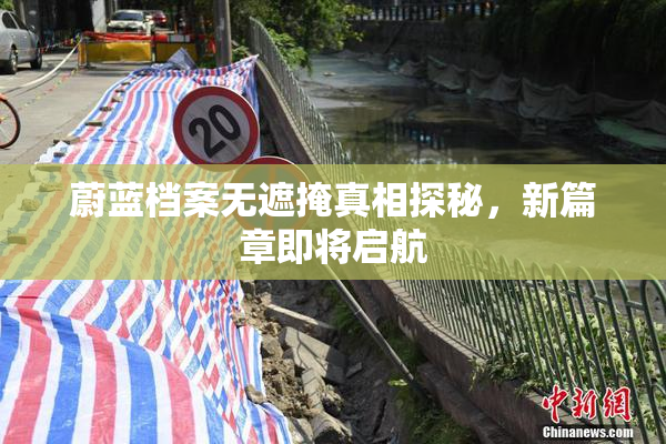 蔚蓝档案无遮掩真相探秘，新篇章即将启航