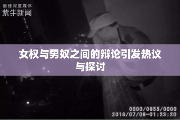 女权与男奴之间的辩论引发热议与探讨
