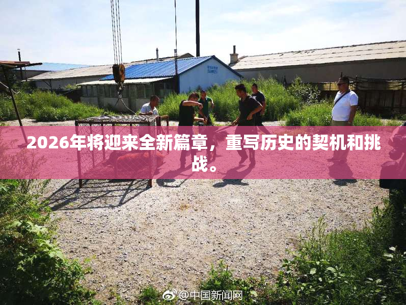 2026年将迎来全新篇章，重写历史的契机和挑战。
