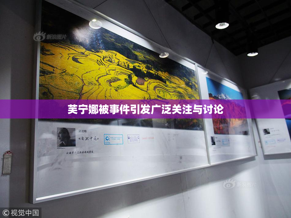 芙宁娜被事件引发广泛关注与讨论