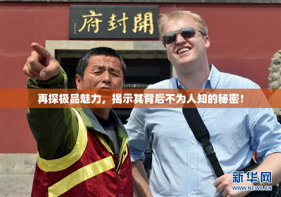 再探极品魅力，揭示其背后不为人知的秘密！