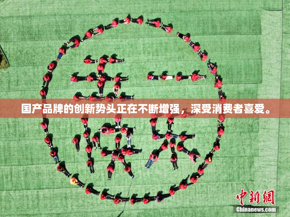 国产品牌的创新势头正在不断增强，深受消费者喜爱。