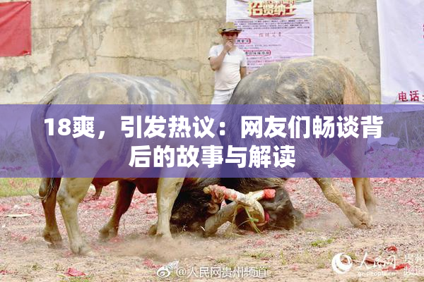 18爽，引发热议：网友们畅谈背后的故事与解读