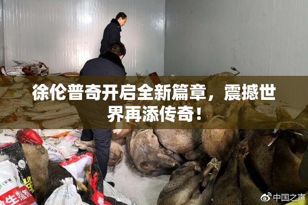 徐伦普奇开启全新篇章，震撼世界再添传奇！