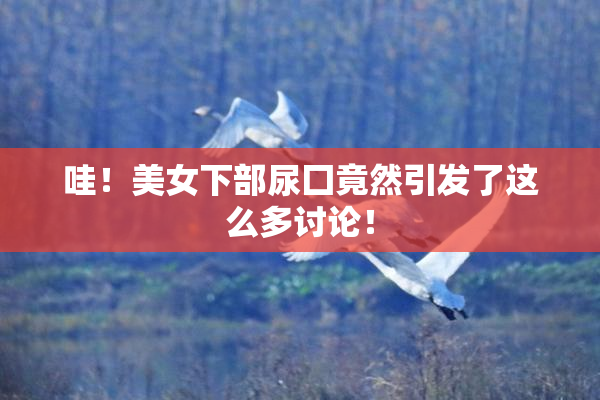 哇！美女下部尿囗竟然引发了这么多讨论！