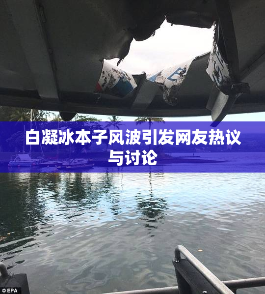 白凝冰本子风波引发网友热议与讨论