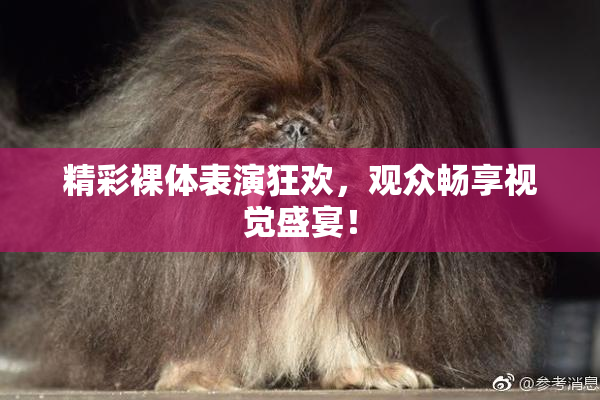 精彩裸体表演狂欢，观众畅享视觉盛宴！