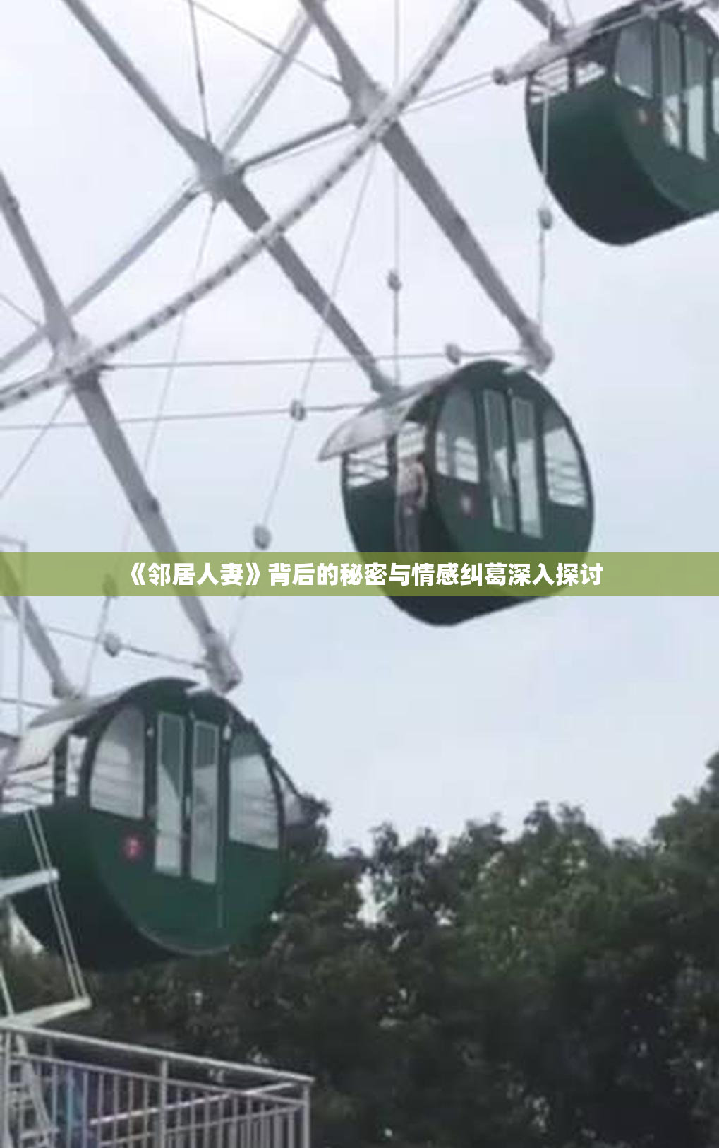 《邻居人妻》背后的秘密与情感纠葛深入探讨