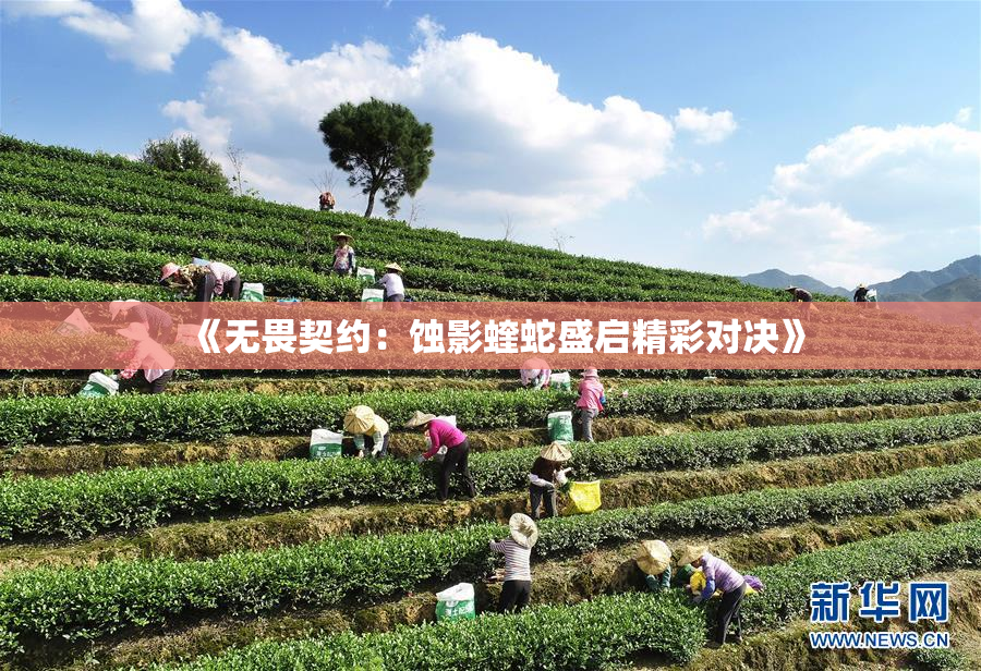《无畏契约：蚀影蝰蛇盛启精彩对决》