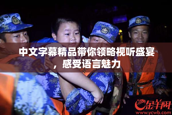 中文字幕精品带你领略视听盛宴，感受语言魅力