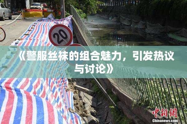 《警服丝袜的组合魅力，引发热议与讨论》