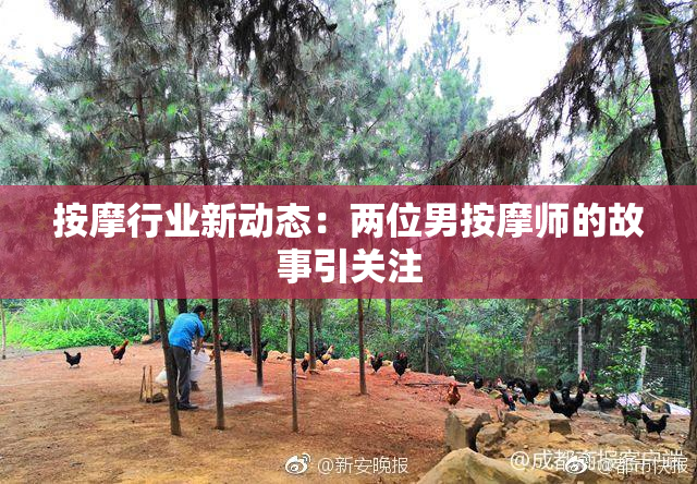 按摩行业新动态：两位男按摩师的故事引关注