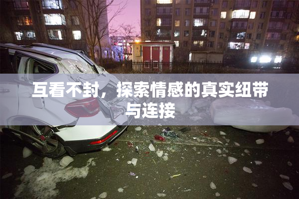 互看不封，探索情感的真实纽带与连接