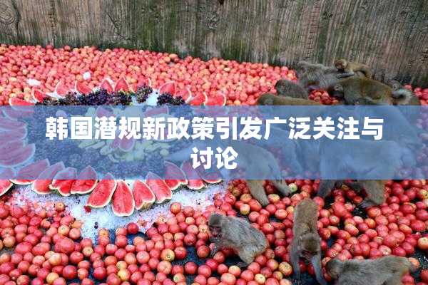 韩国潜规新政策引发广泛关注与讨论