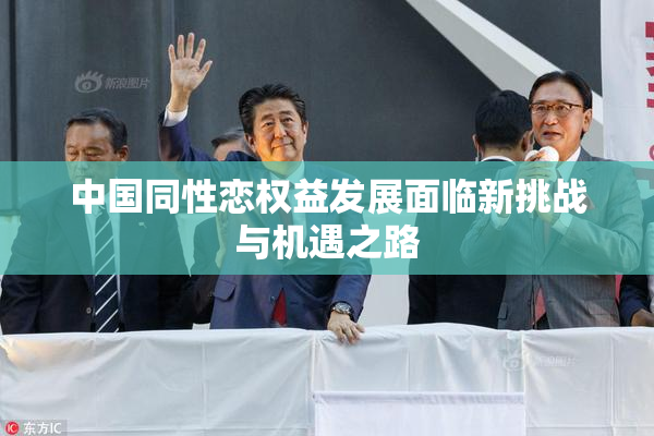 中国同性恋权益发展面临新挑战与机遇之路