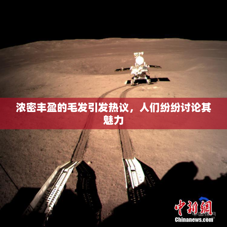 浓密丰盈的毛发引发热议，人们纷纷讨论其魅力