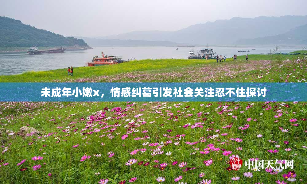 未成年小嫩x，情感纠葛引发社会关注忍不住探讨