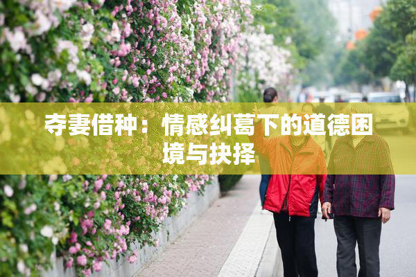 夺妻借种：情感纠葛下的道德困境与抉择