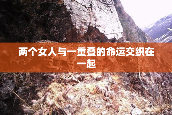 两个女人与一重叠的命运交织在一起
