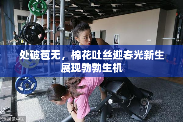处破苞无，棉花吐丝迎春光新生展现勃勃生机