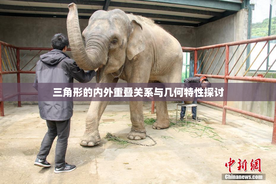 三角形的内外重叠关系与几何特性探讨