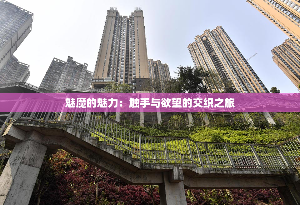 魅魔的魅力：触手与欲望的交织之旅