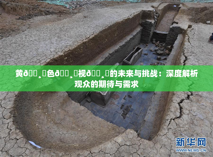 黄🌸‌色🌸‌视🌸‌的未来与挑战：深度解析观众的期待与需求