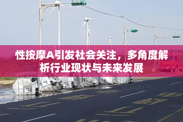 性按摩A引发社会关注，多角度解析行业现状与未来发展