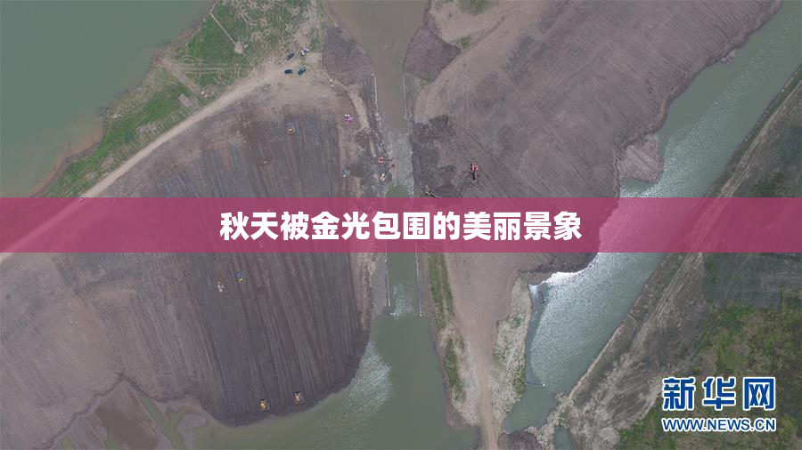 秋天被金光包围的美丽景象