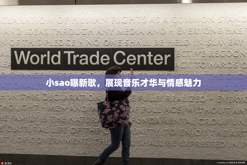 小sao曝新歌，展现音乐才华与情感魅力