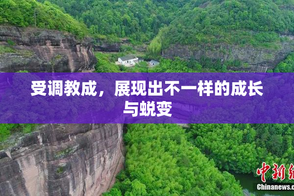 受调教成，展现出不一样的成长与蜕变