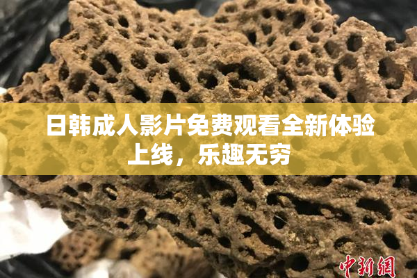 日韩成人影片免费观看全新体验上线，乐趣无穷