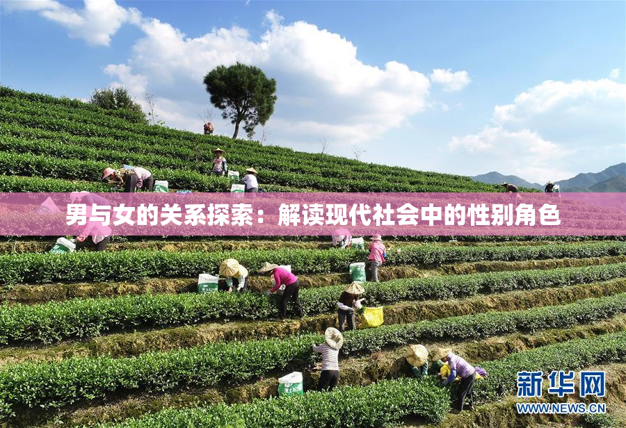 男与女的关系探索：解读现代社会中的性别角色