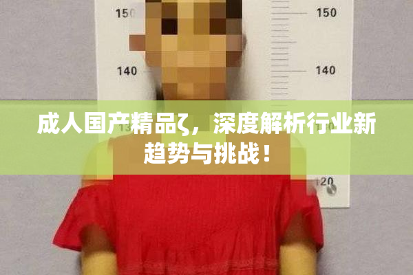 成人国产精品ζ，深度解析行业新趋势与挑战！