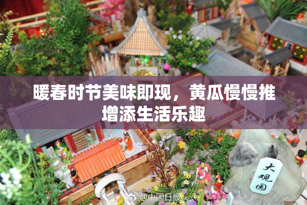 暖春时节美味即现，黄瓜慢慢推增添生活乐趣