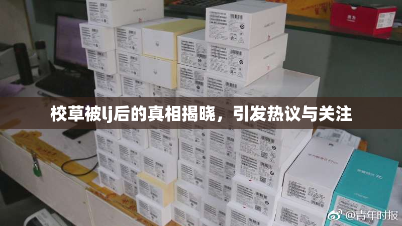 校草被lj后的真相揭晓，引发热议与关注