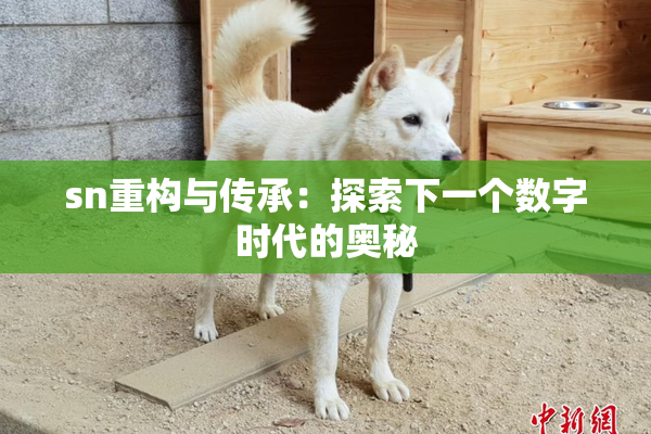 sn重构与传承：探索下一个数字时代的奥秘