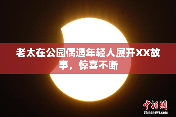 老太在公园偶遇年轻人展开XX故事，惊喜不断