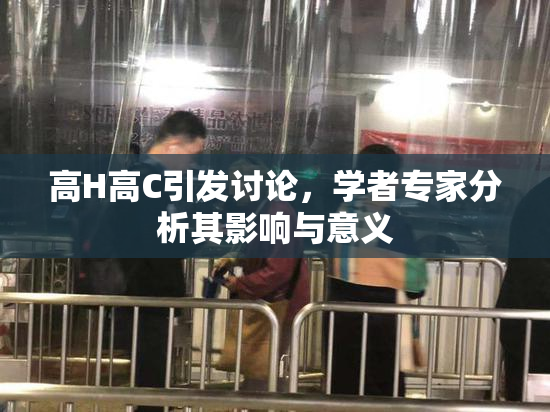高H高C引发讨论，学者专家分析其影响与意义