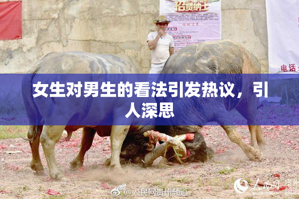 女生对男生的看法引发热议，引人深思