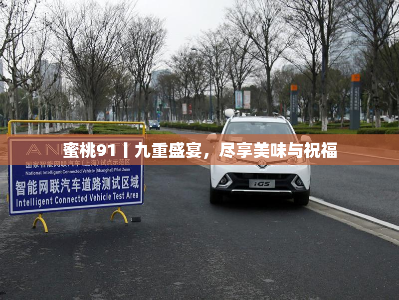 蜜桃91丨九重盛宴，尽享美味与祝福