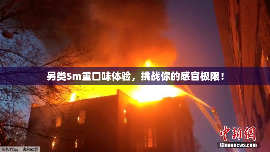 另类Sm重口味体验，挑战你的感官极限！