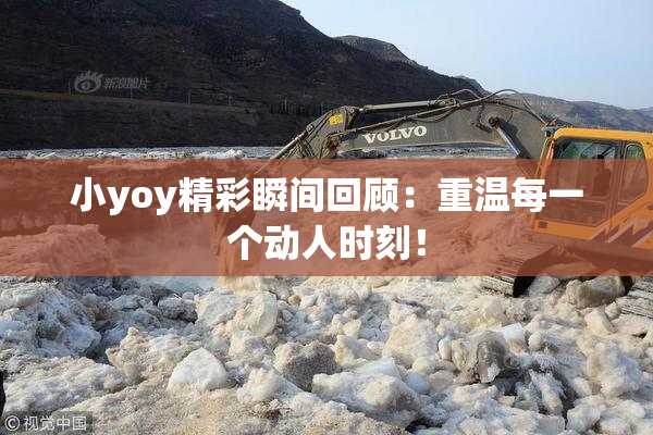 小yoy精彩瞬间回顾：重温每一个动人时刻！