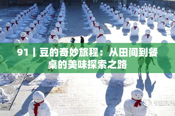 91丨豆的奇妙旅程：从田间到餐桌的美味探索之路