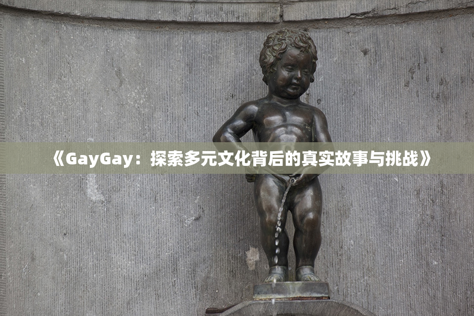 《GayGay：探索多元文化背后的真实故事与挑战》