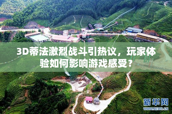 3D蒂法激烈战斗引热议，玩家体验如何影响游戏感受？