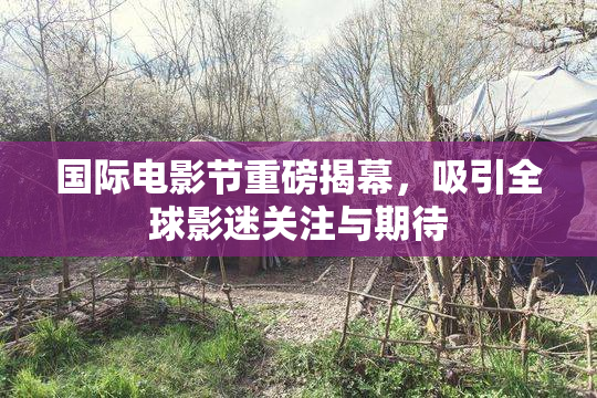 国际电影节重磅揭幕，吸引全球影迷关注与期待
