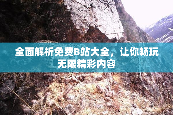 全面解析免费B站大全，让你畅玩无限精彩内容