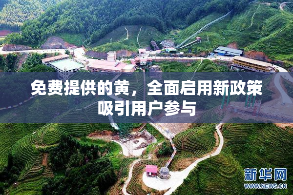 免费提供的黄，全面启用新政策吸引用户参与