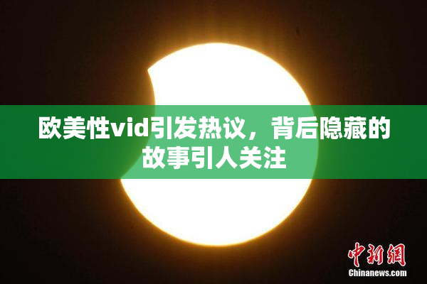 欧美性vid引发热议，背后隐藏的故事引人关注